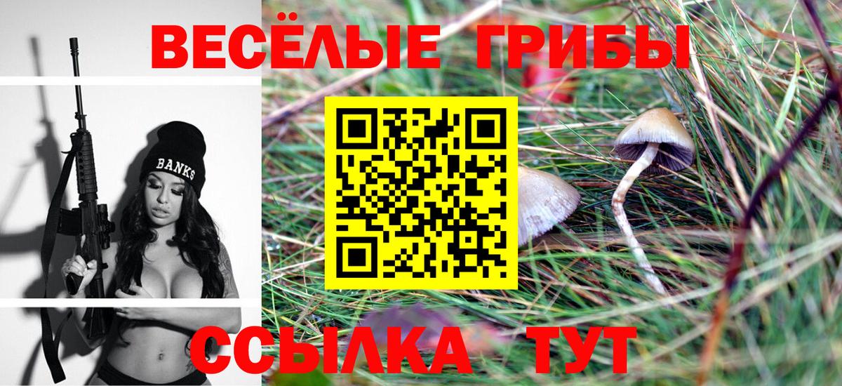 Псилоцибиновые грибы Psilocybine cubensis Кстово